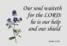 Psalms 33:20 jigsaw puzzle